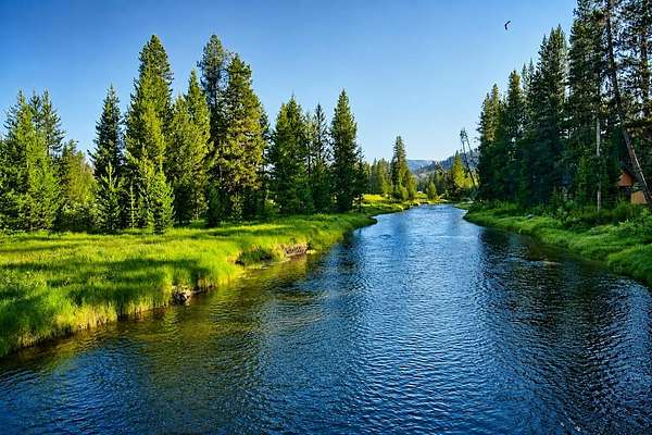 2.79 Acres of Land for Sale in Burgdorf, Idaho