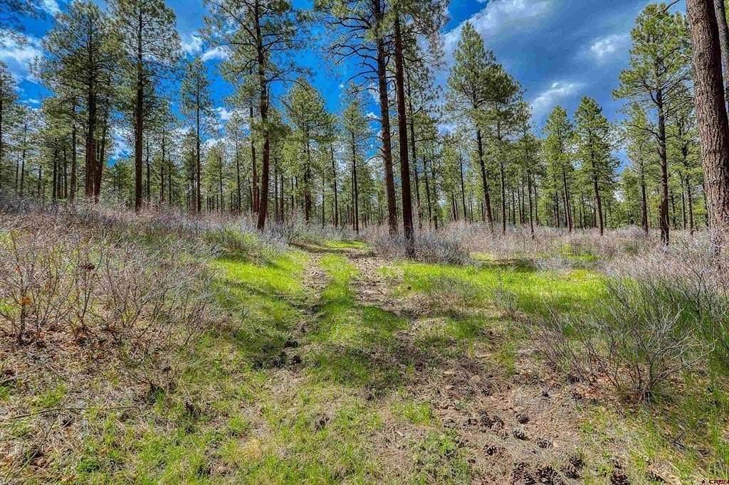 37.3 Acres of Recreational & Residential Land for Sale in Pagosa Springs, Colorado