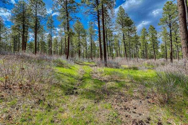 37.3 Acres of Recreational & Residential Land for Sale in Pagosa Springs, Colorado