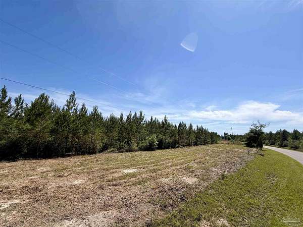 5 Acres of Residential Land for Sale in Jay, Florida