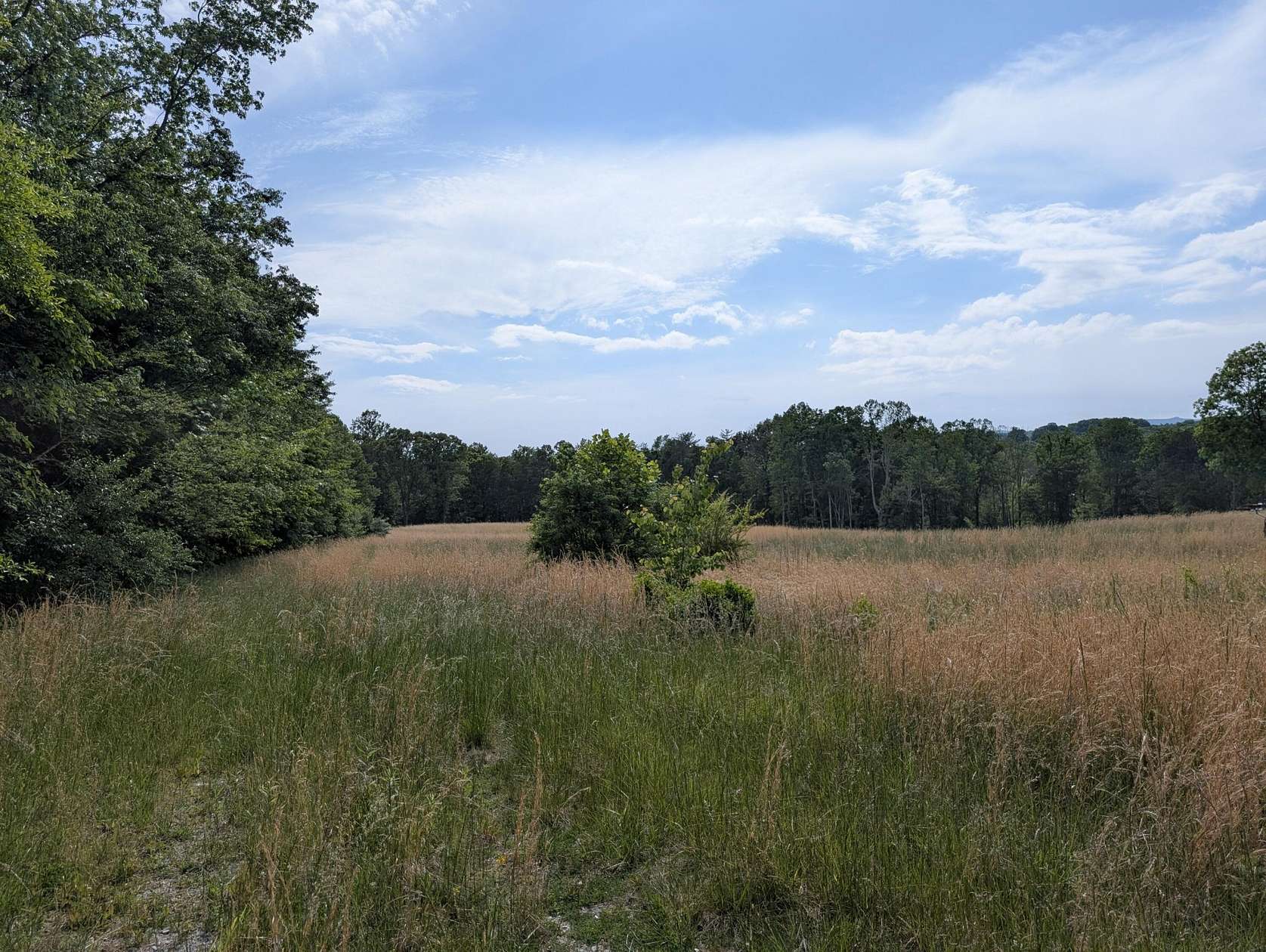 3.5 Acres of Land for Sale in Grandview, Tennessee