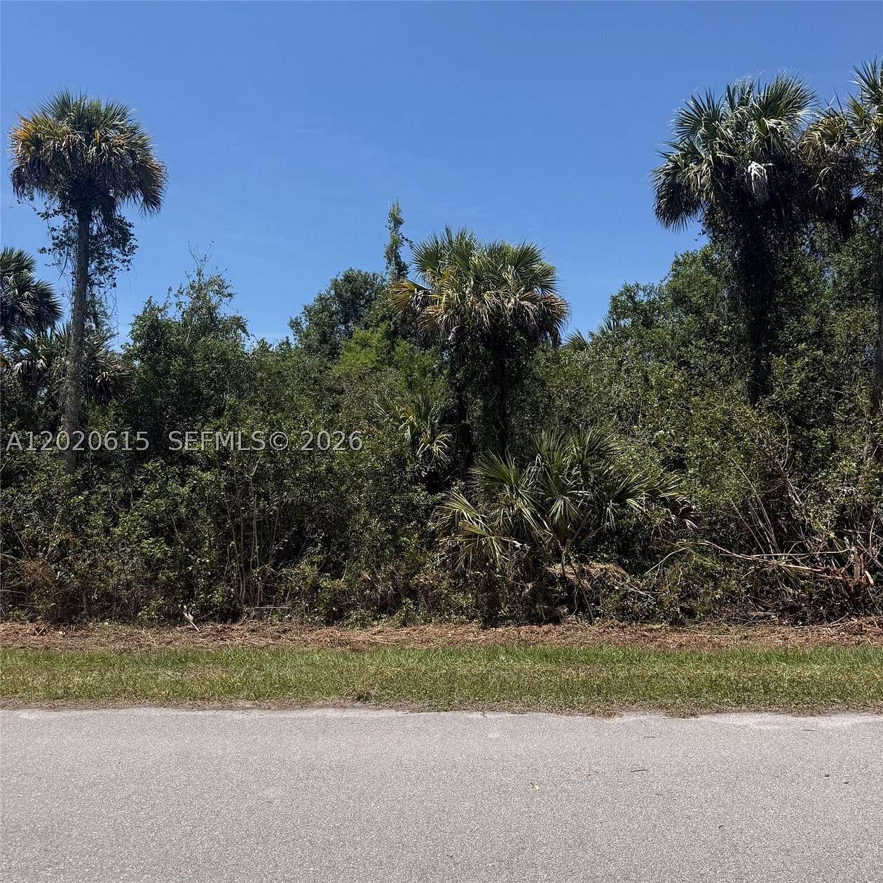 2.73 Acres of Residential Land for Sale in Naples, Florida