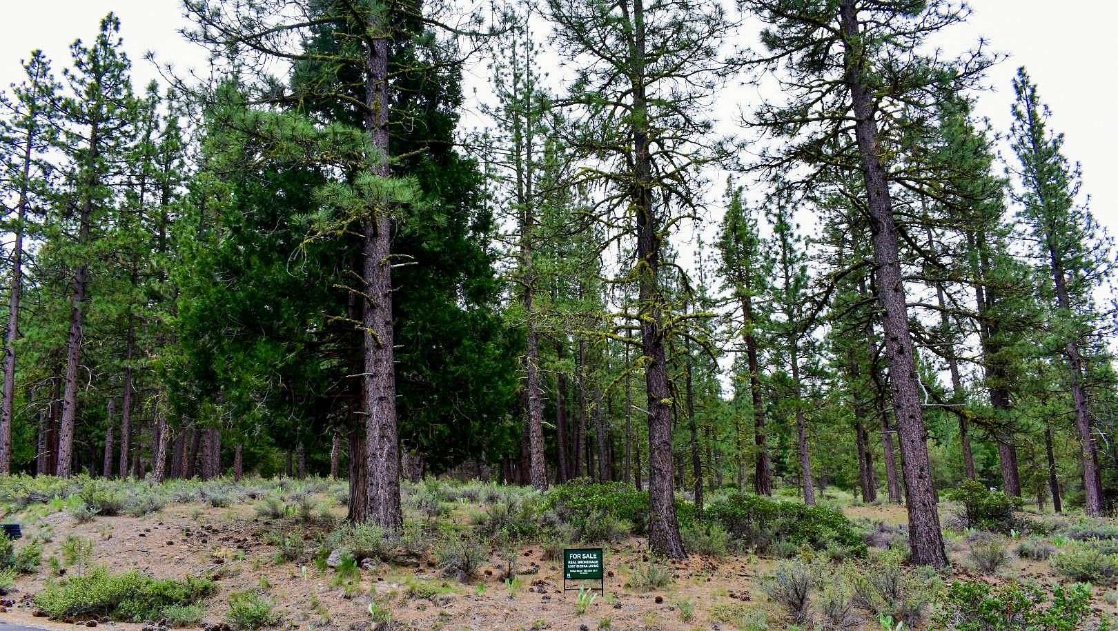 1 Acre of Residential Land for Sale in Portola, California