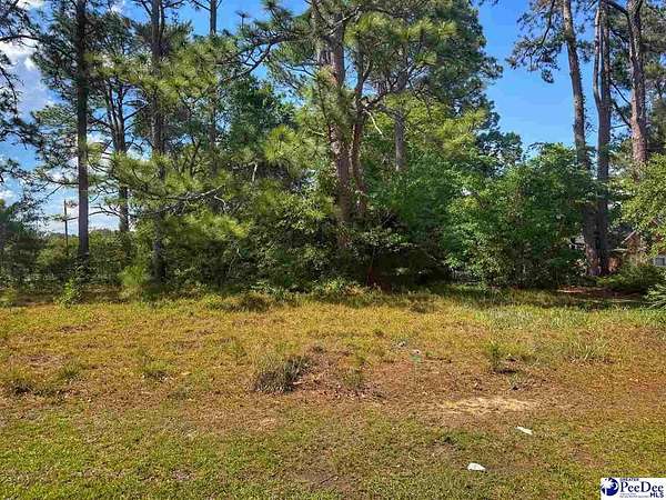 0.31 Acres of Mixed-Use Land for Sale in Lake View, South Carolina