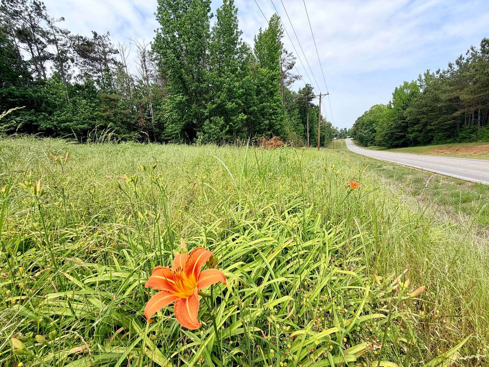 18 Acres of Land for Sale in Booneville, Mississippi