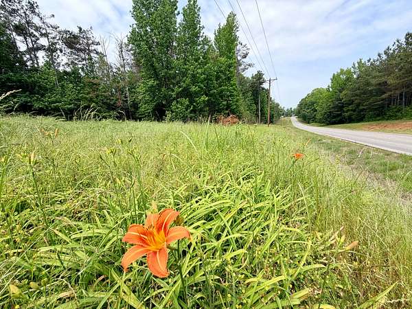 18 Acres of Land for Sale in Booneville, Mississippi