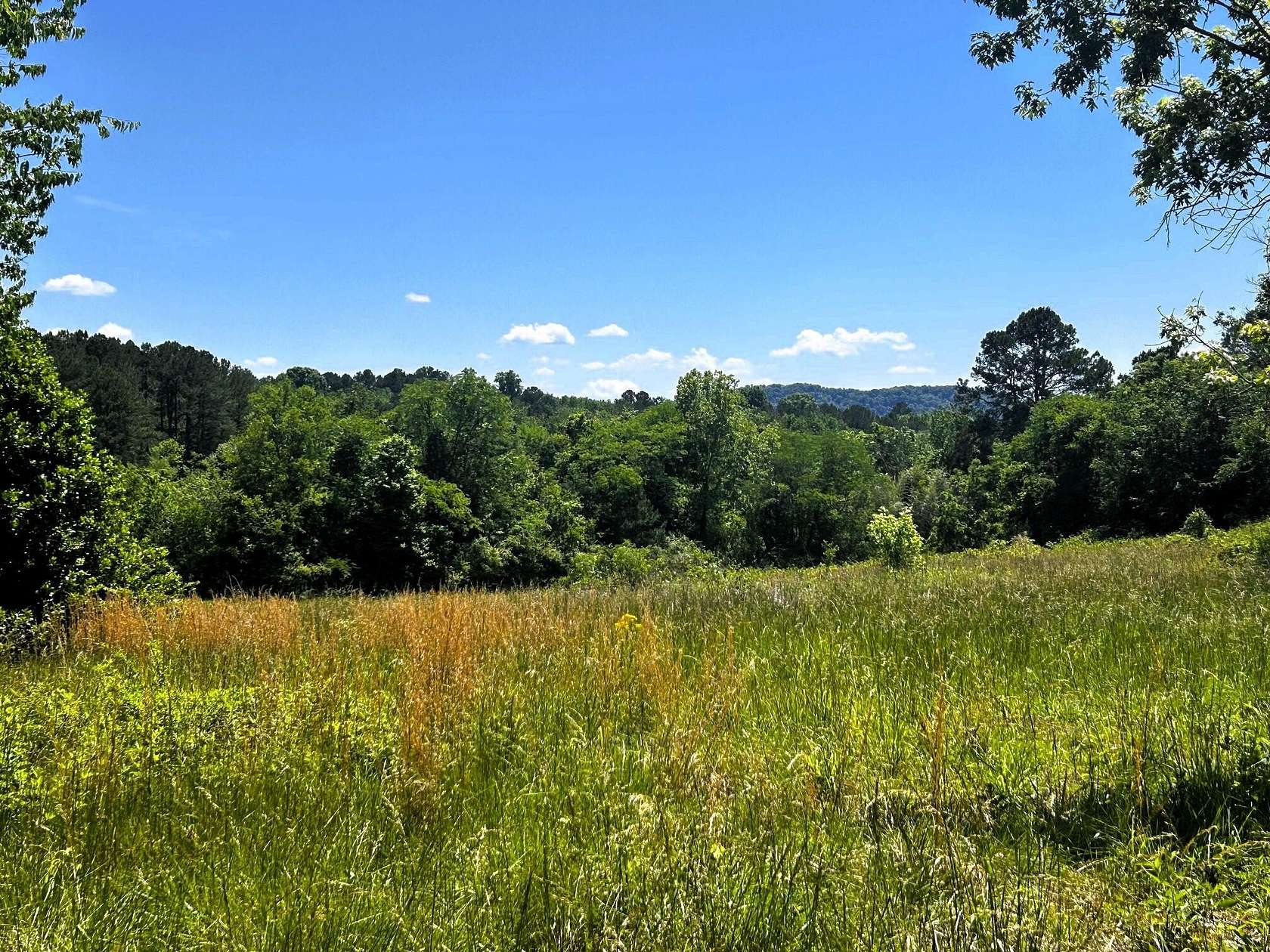 2.59 Acres of Residential Land for Sale in Decatur, Tennessee