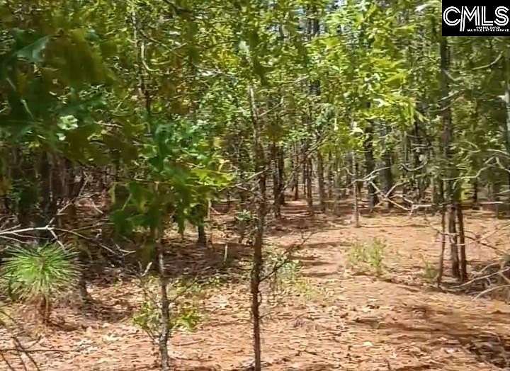 3 Acres of Residential Land for Sale in Society Hill, South Carolina