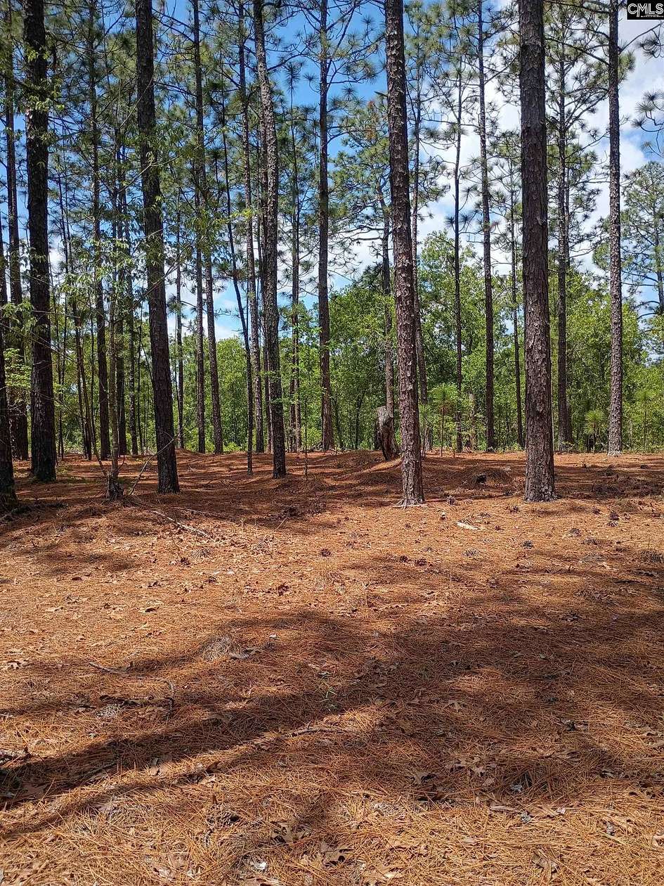 3 Acres of Residential Land for Sale in Society Hill, South Carolina