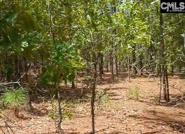 3 Acres of Residential Land for Sale in Society Hill, South Carolina