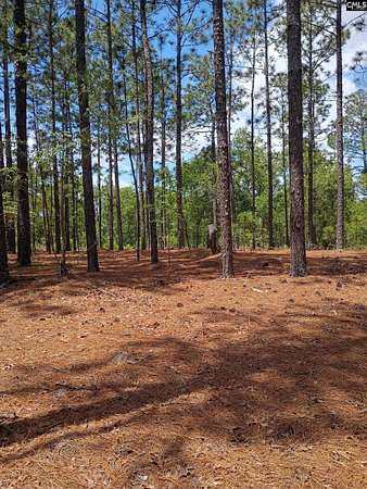 3 Acres of Residential Land for Sale in Society Hill, South Carolina