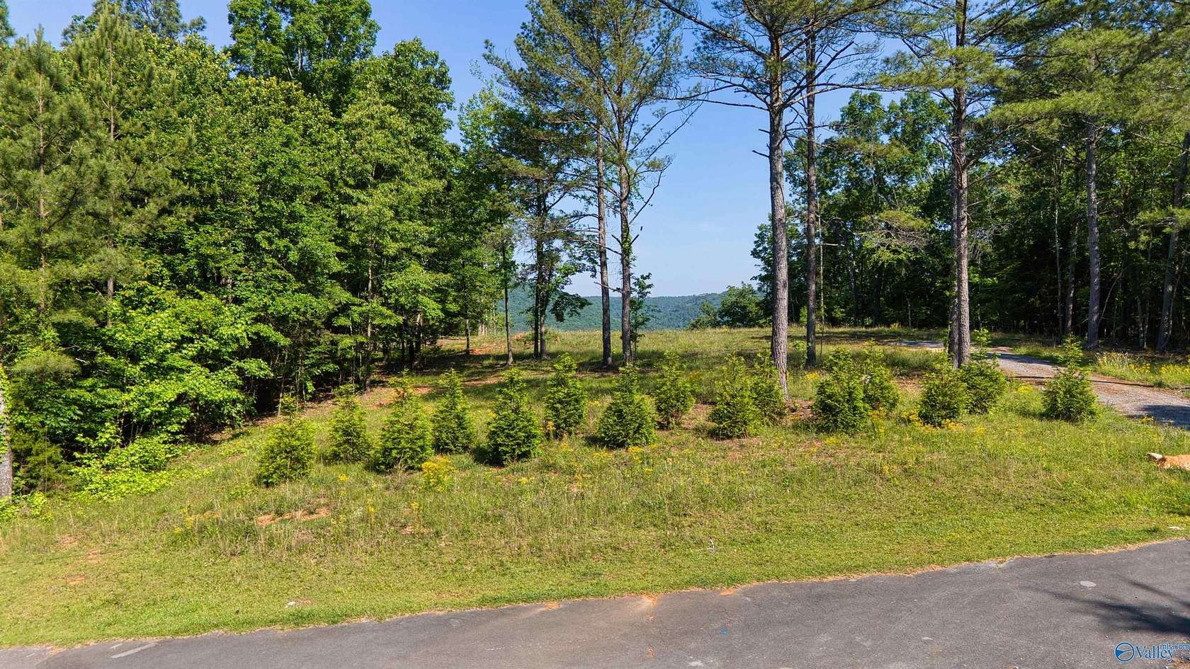 3 Acres of Residential Land for Sale in Cedar Bluff, Alabama