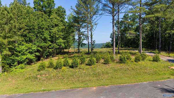 3 Acres of Residential Land for Sale in Cedar Bluff, Alabama