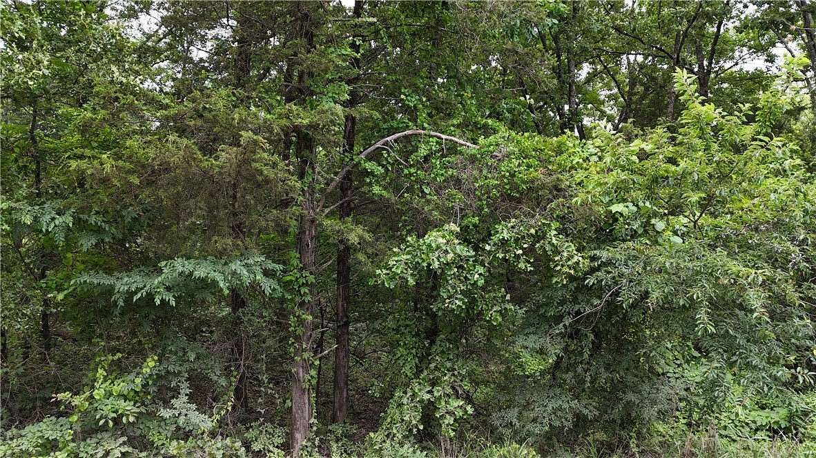 21.9 Acres of Recreational & Residential Land for Sale in Cleveland, Arkansas