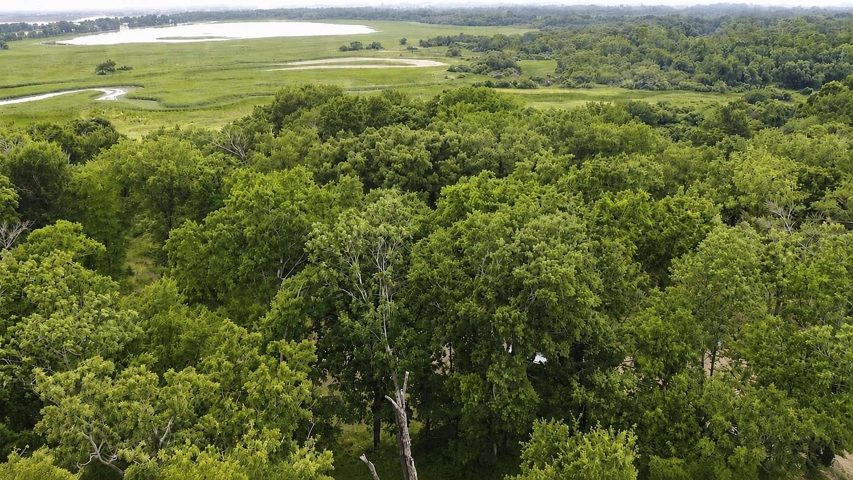 0.85 Acres of Residential Land for Sale in Mabank, Texas