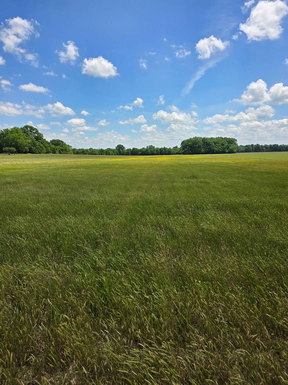 7.3 Acres of Residential Land for Sale in Eagleville, Tennessee