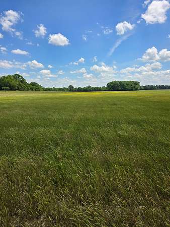 7.3 Acres of Residential Land for Sale in Eagleville, Tennessee