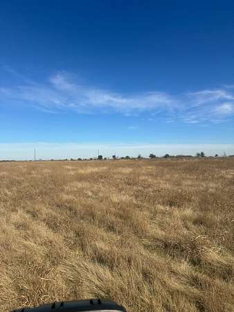 5 Acres of Residential Land for Sale in Corsicana, Texas