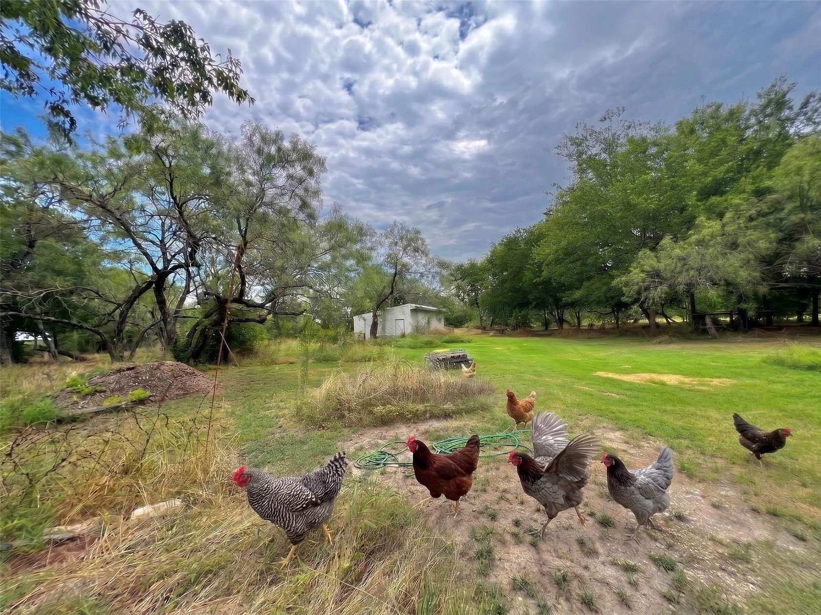 2.1 Acres of Residential Land for Sale in Oak Ridge, Texas