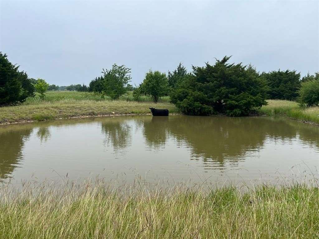 11.5 Acres of Land for Sale in Grandview, Texas