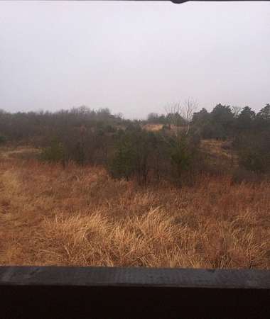 17.1 Acres of Recreational & Residential Land for Sale in Whitesboro, Texas