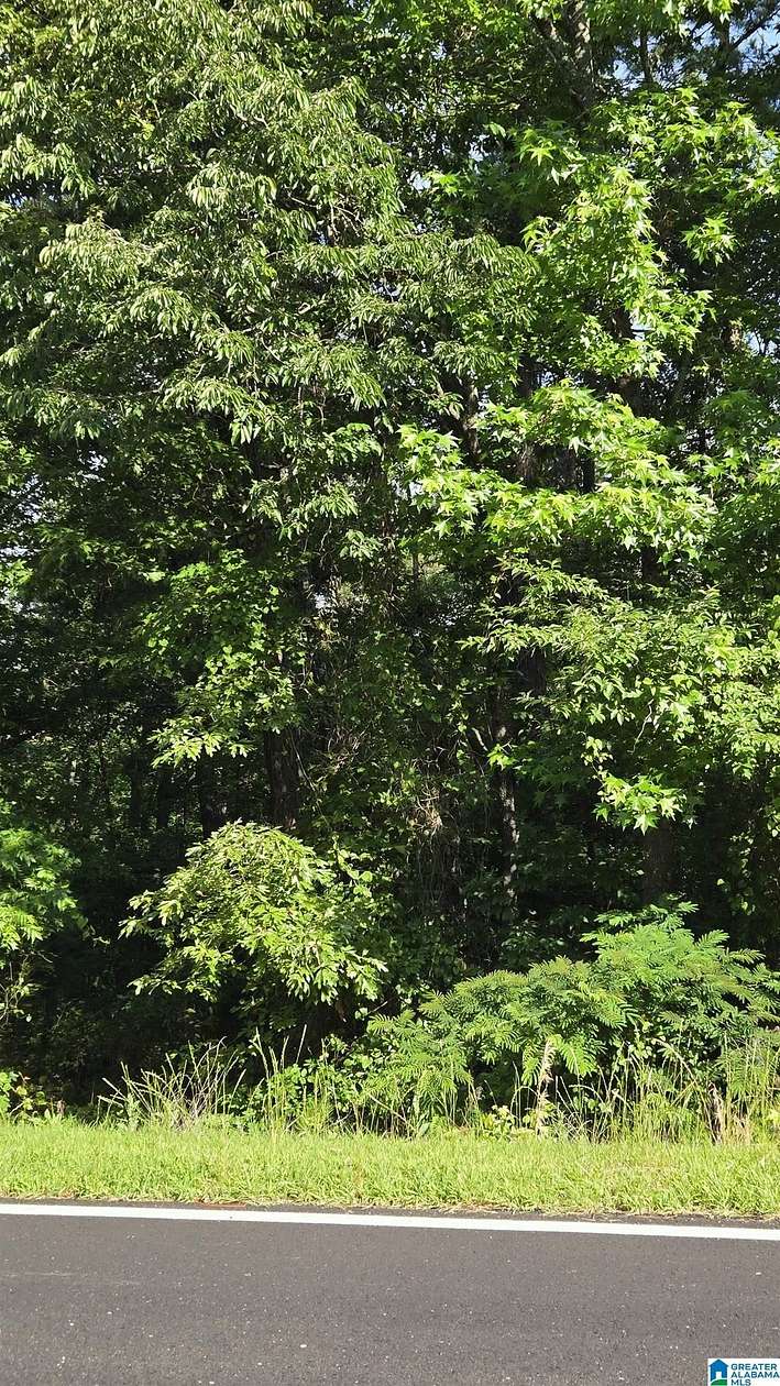 3 Acres of Residential Land for Sale in Birmingham, Alabama
