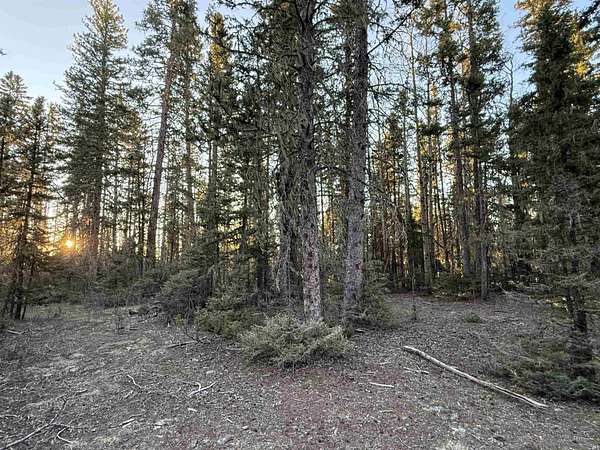 0.77 Acres of Residential Land for Sale in Angel Fire, New Mexico