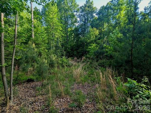 2 Acres of Residential Land for Sale in Connelly Springs, North Carolina