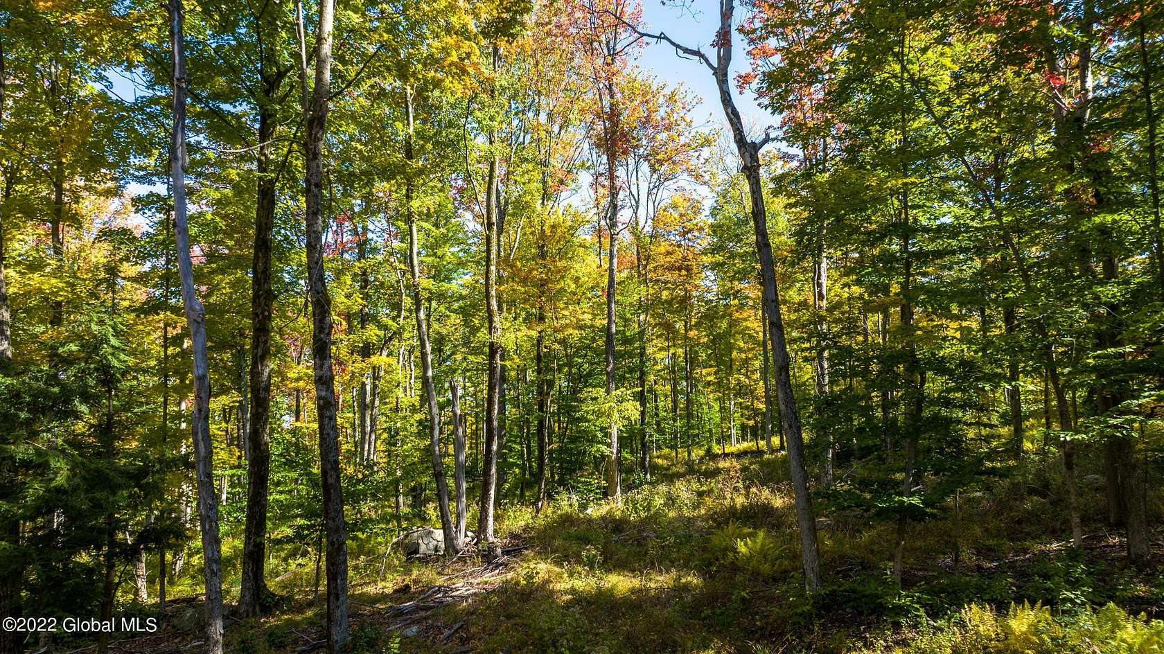 35 Acres of Recreational Land for Sale in Grafton, New York
