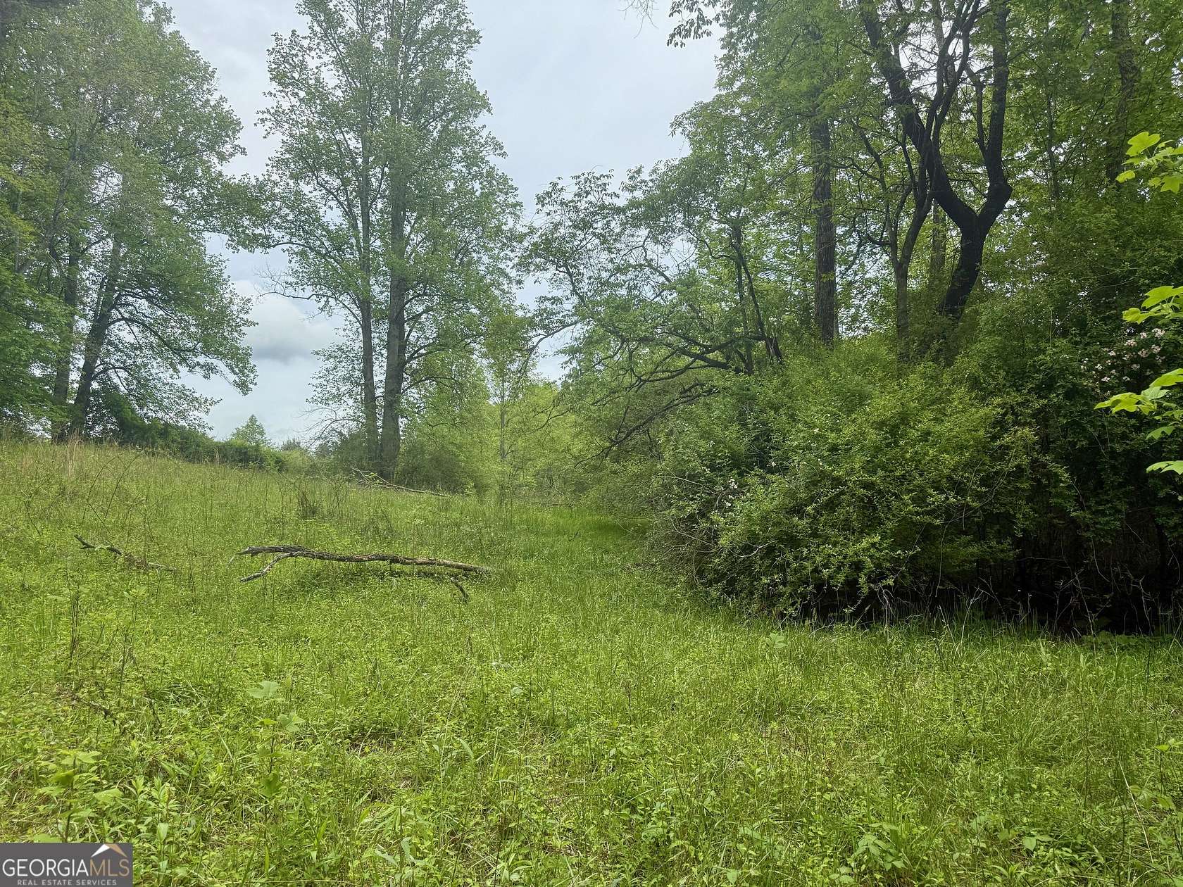 13.3 Acres of Land for Sale in Tiger, Georgia