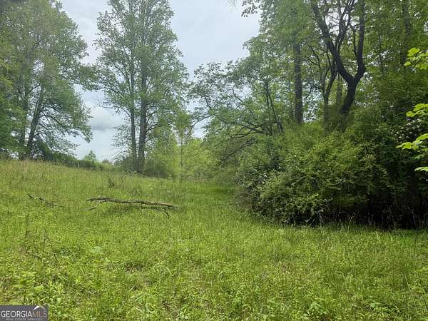 13.3 Acres of Land for Sale in Tiger, Georgia