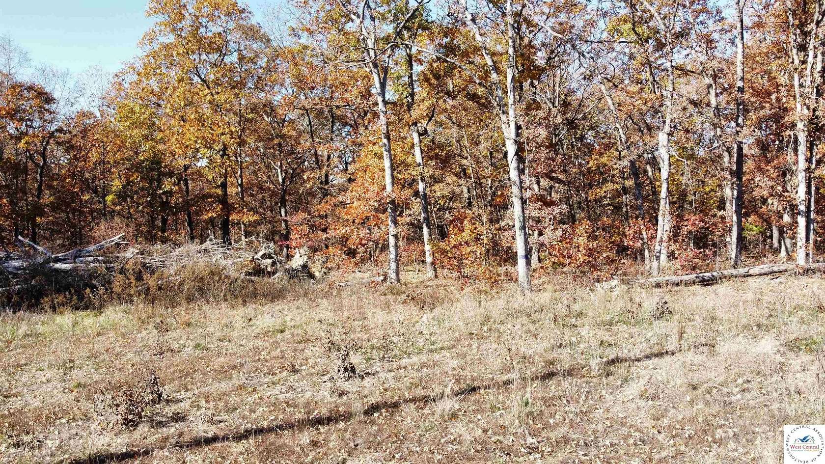 40 Acres of Recreational & Residential Land for Sale in Lincoln, Missouri