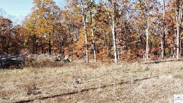 40 Acres of Recreational & Residential Land for Sale in Lincoln, Missouri