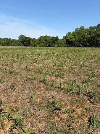 41.9 Acres of Land for Sale in Lexington, North Carolina