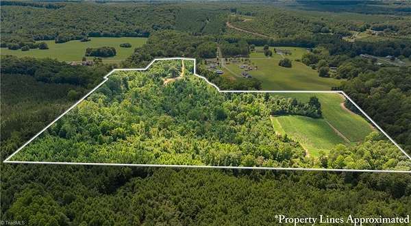 41.9 Acres of Land for Sale in Lexington, North Carolina