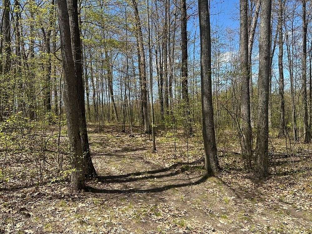 10.3 Acres of Land for Sale in Harrison, Michigan