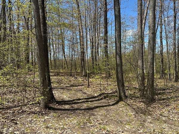 10.3 Acres of Land for Sale in Harrison, Michigan