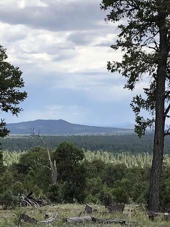 10 Acres of Recreational & Residential Land for Sale in Ramah, New Mexico