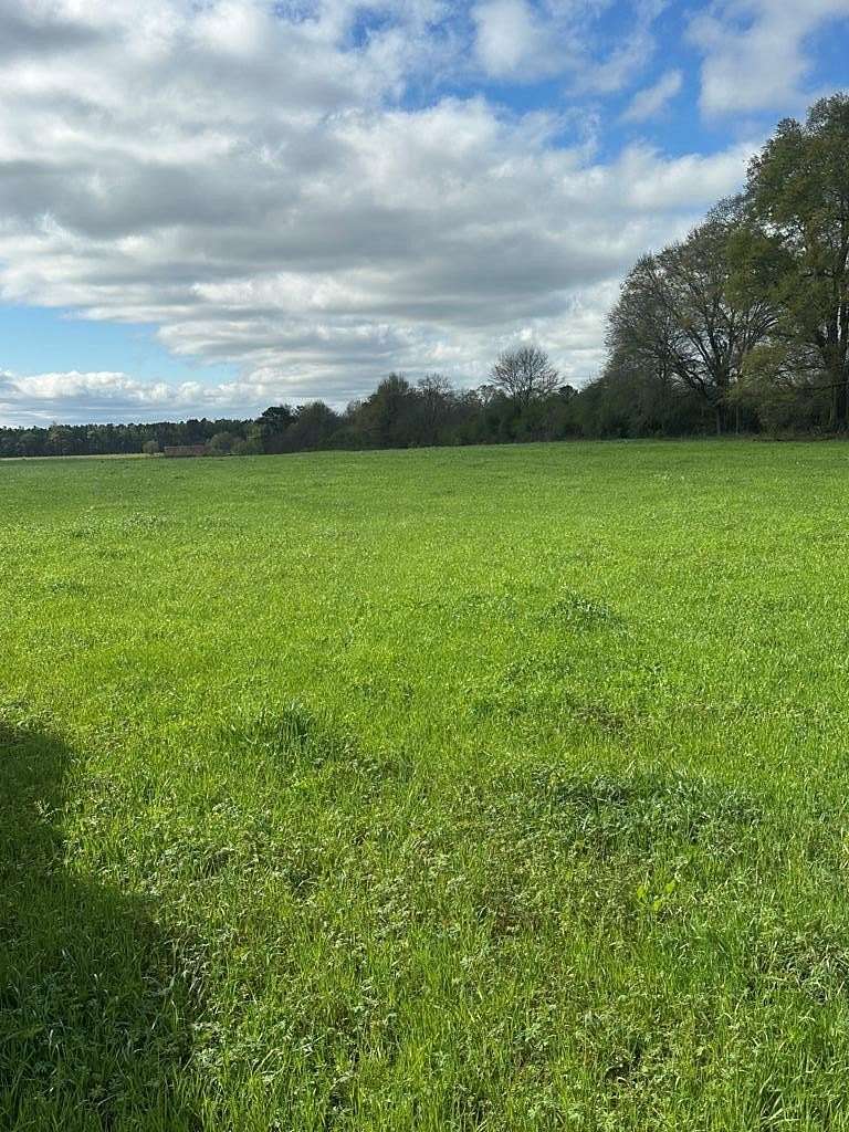 27 Acres of Land for Sale in Ovett, Mississippi