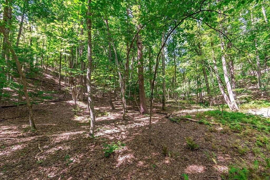 2 Acres of Residential Land for Sale in Morganton, Georgia