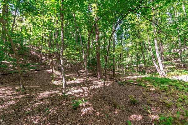 2 Acres of Residential Land for Sale in Morganton, Georgia