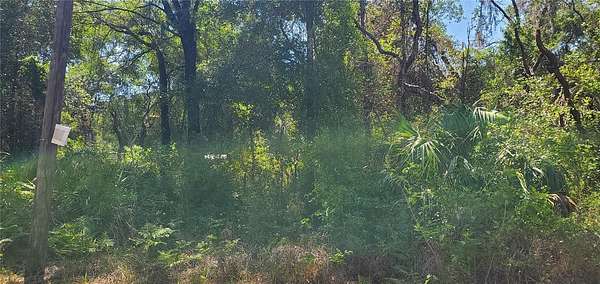 0.18 Acres of Residential Land for Sale in New Port Richey, Florida