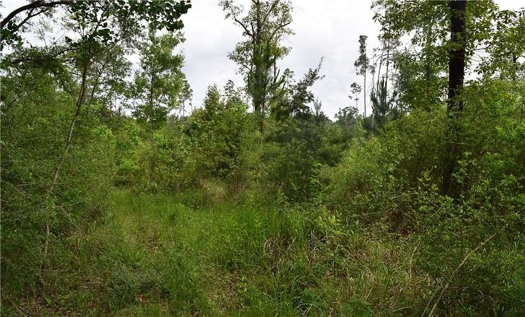 5 Acres of Residential Land for Sale in Grand Bay, Alabama