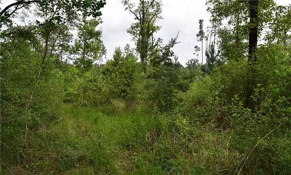 5 Acres of Residential Land for Sale in Grand Bay, Alabama