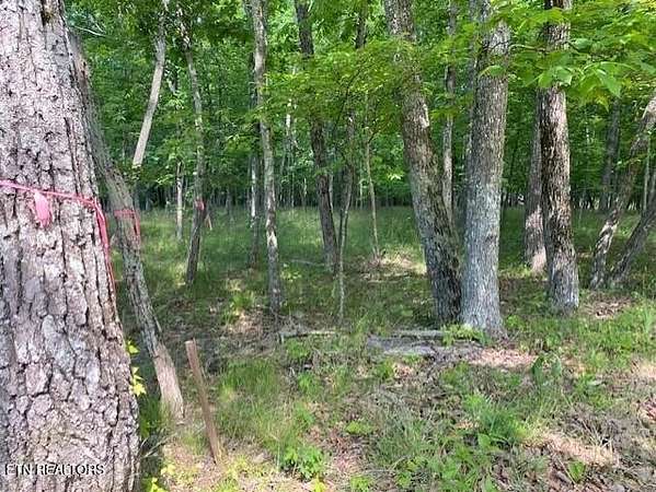 0.41 Acres of Residential Land for Sale in Crossville, Tennessee