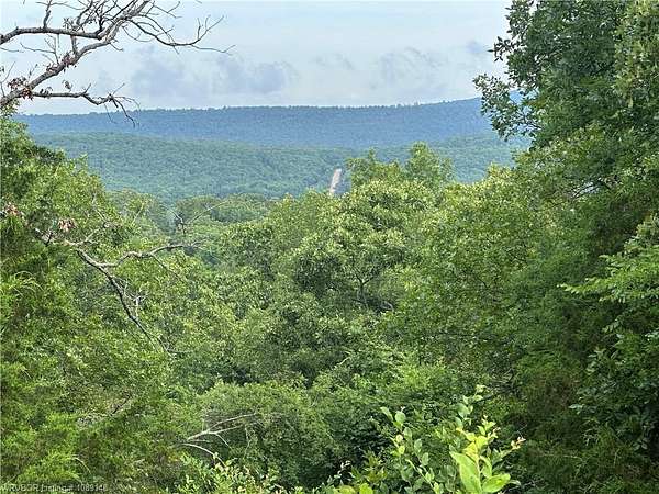 30.5 Acres of Recreational & Residential Land for Sale in Booneville, Arkansas
