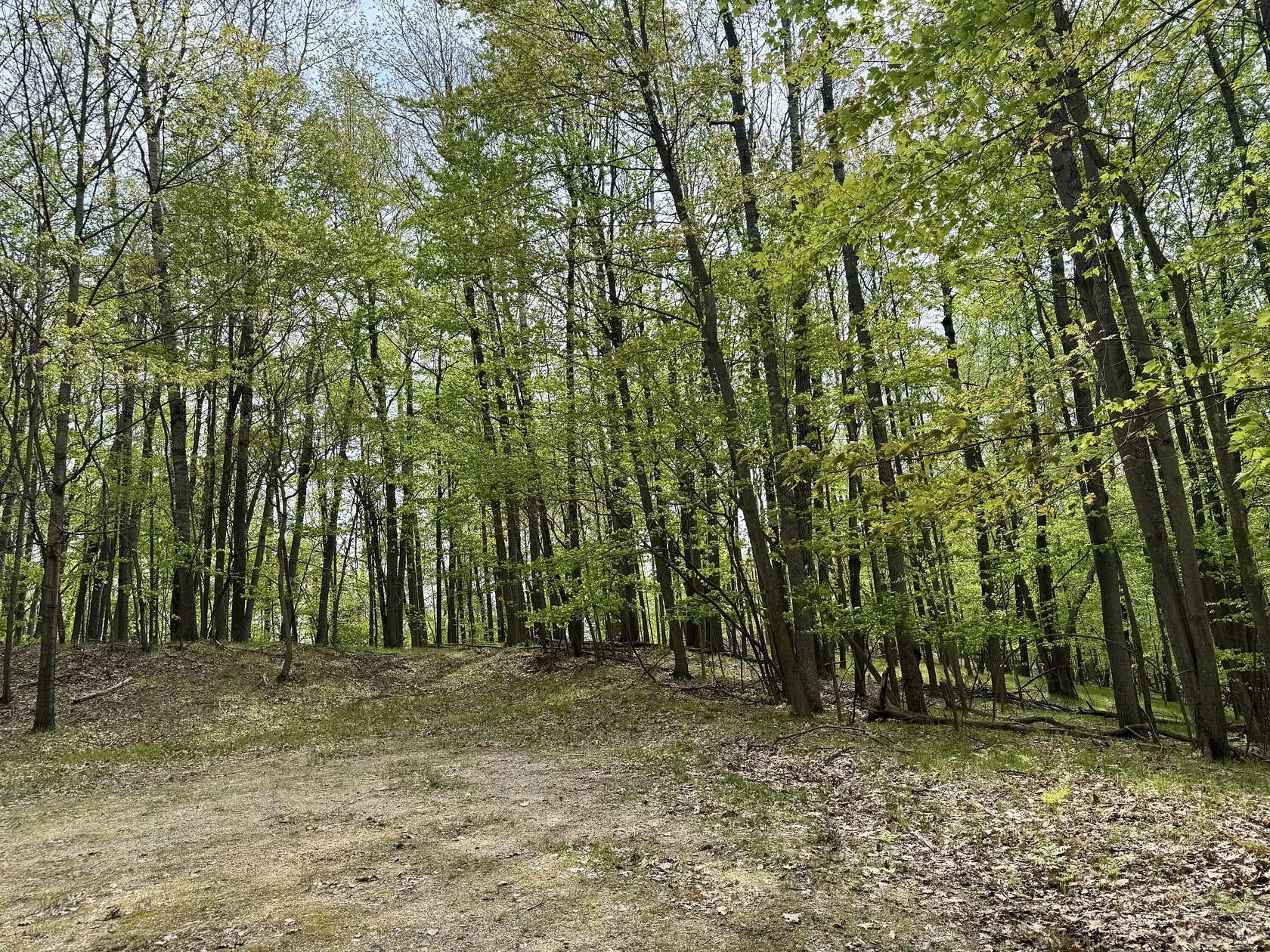 0.62 Acres of Land for Sale in Canadian Lakes, Michigan