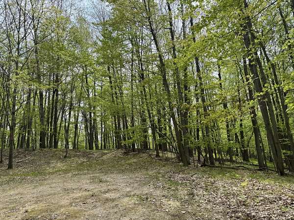 0.62 Acres of Land for Sale in Canadian Lakes, Michigan
