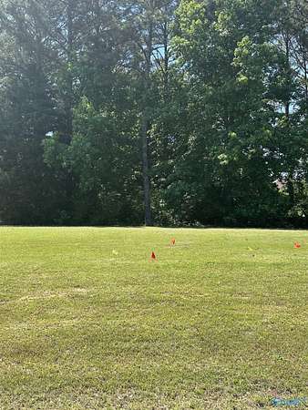Residential Land for Sale in Gadsden, Alabama