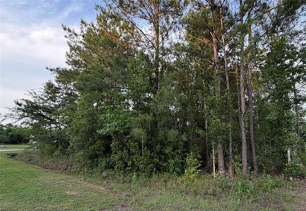0.5 Acres of Land for Sale in Callahan, Florida